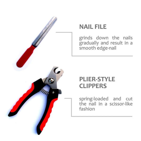 1609338641514 7 in 1 Complete Professional Dog Grooming Kit Combos