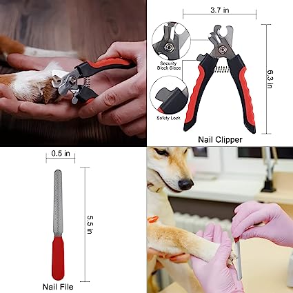 71UXhRvye7L._SX425_ 7 in 1 Complete Professional Dog Grooming Kit Combos