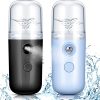 USB Rechargeable Portable Nano Humidifier Mini Facial Face Sprayer