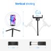 10inch  Desktop Phone Video Recording Ring Light with Stand