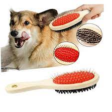 download Professional Double Sided Pin & Bristle Brush for Dogs & Cats