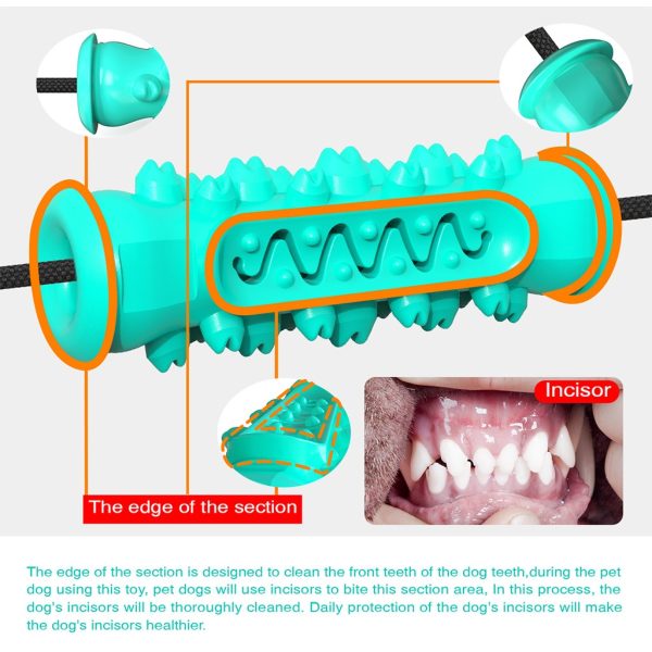 Pet Dog Chew and Tug Handle and Ball Chew Interactive Chew Toy