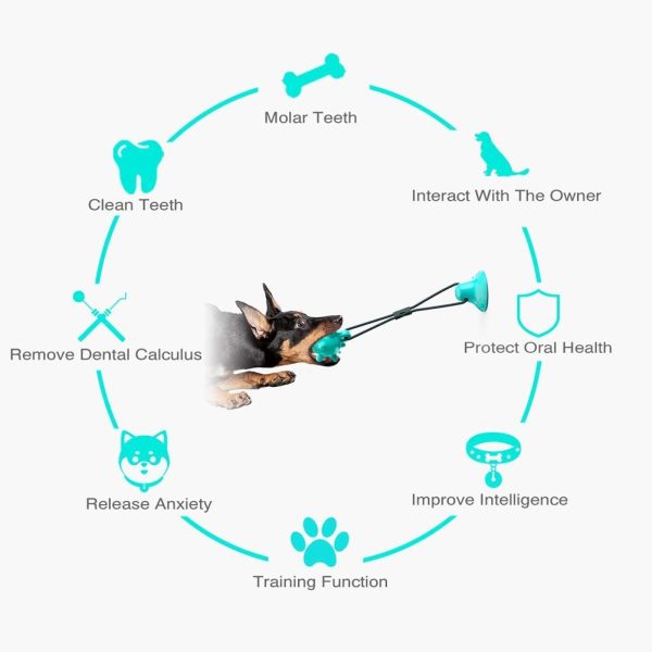 51YmM61lEeL._AC_SL1001_ Multifunction Suction Cup Interactive Dog, Pet Chew Toy with Food Dispensing & Squeaky Toy Ball