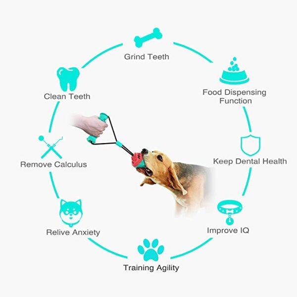 Pet Dog Chew and Tug Handle and Ball Chew Interactive Chew Toy