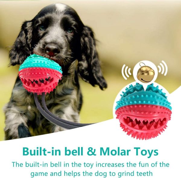 61XP3oh2b1L._AC_SL1000_ (1) Multifunction Suction Cup Interactive Dog, Pet Chew Toy with Food Dispensing & Squeaky Toy Ball