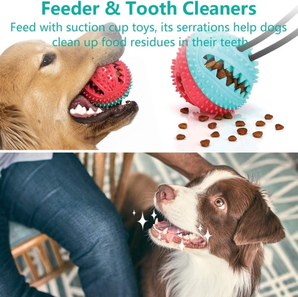 71dyBzW9gyL._AC_SL1000_ (1) Multifunction Suction Cup Interactive Dog, Pet Chew Toy with Food Dispensing & Squeaky Toy Ball