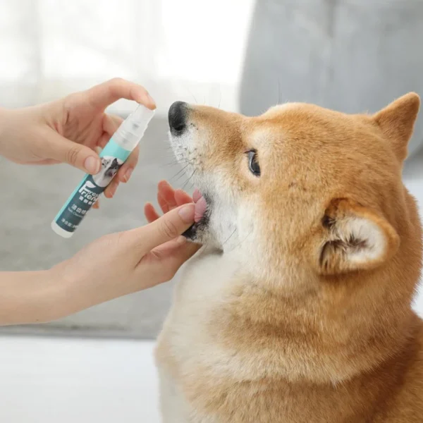 14ML-Pet-Oral-Care-Spray-Dog-Mouth-Deodorizing-Cleaning-Spray-Oral-Care-Spray.jpg_Q90.jpg_ (2) Pet (Dog and Cat) Fresh Friends Oral Dental Spray for Bad Breath, Plaque & Tartar Build-Up & Teeth Cleaning.