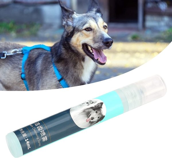 71KnZimo6lS._AC_SL1500_ Pet (Dog and Cat) Fresh Friends Oral Dental Spray for Bad Breath, Plaque & Tartar Build-Up & Teeth Cleaning.