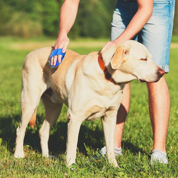 Professional Pet Grooming - Dog and Cat Shampoo Shower & Bath Scrubbing Brush for Long & Short Hair Cats and Dogs