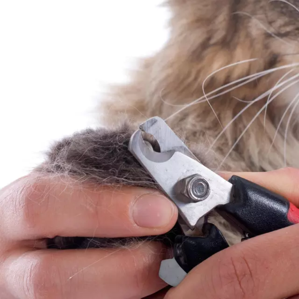 1612964557688 Professional Pet Grooming Nail Clipper & Trimmer Set