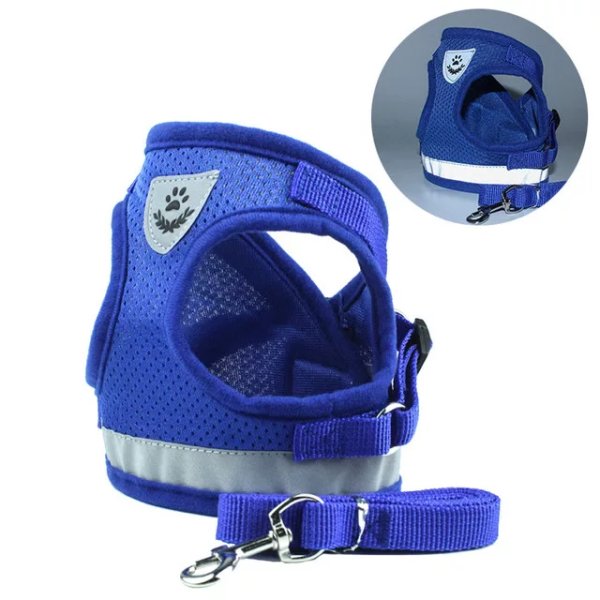 Small Pet Harness and Leash Set for Walking Cat and Dog with Soft Mesh, Adjustable  Vest Harness with Reflective Strap