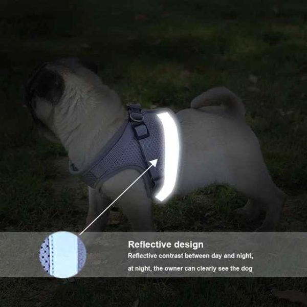 Small Pet Harness and Leash Set for Walking Cat and Dog with Soft Mesh, Adjustable  Vest Harness with Reflective Strap