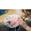 Adjustable, Anti Scratch & Bite Restraint Polyester Mesh Cat or Dog Grooming Bag