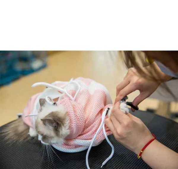 1626179379321 Adjustable, Anti Scratch & Bite Restraint Polyester Mesh Cat or Dog Grooming Bag