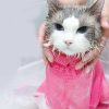 Adjustable, Anti Scratch & Bite Restraint Polyester Mesh Cat or Dog Grooming Bag