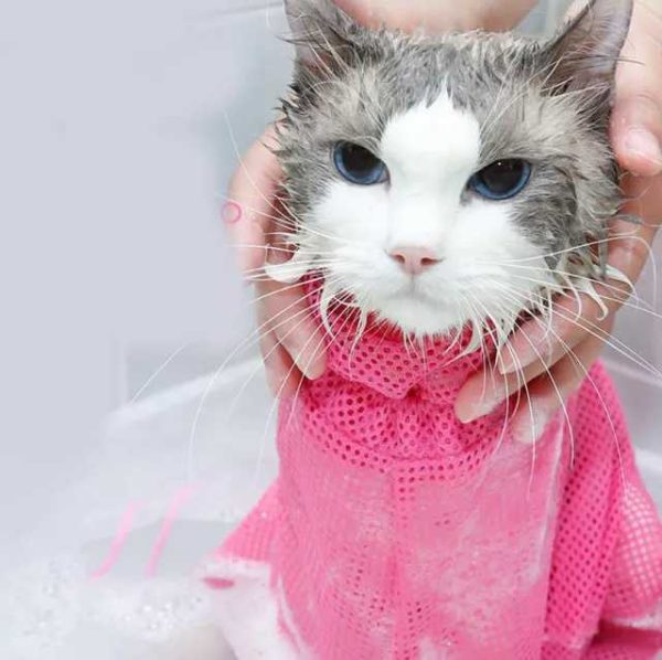 1626179421103 Adjustable, Anti Scratch & Bite Restraint Polyester Mesh Cat or Dog Grooming Bag