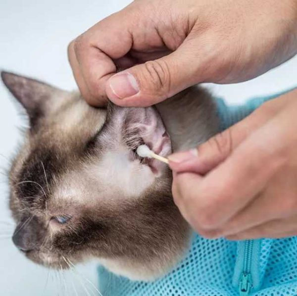 1626179551373 Adjustable, Anti Scratch & Bite Restraint Polyester Mesh Cat or Dog Grooming Bag