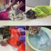 Adjustable, Anti Scratch & Bite Restraint Polyester Mesh Cat or Dog Grooming Bag