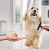 Double Row Pins Shedding and Dematting Undercoat Rake Comb for Dogs and Cats