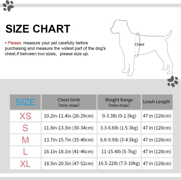 Small Pet Harness and Leash Set for Walking Cat and Dog with Soft Mesh, Adjustable  Vest Harness with Reflective Strap