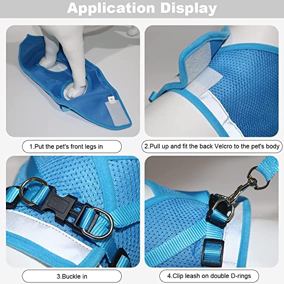 Small Pet Harness and Leash Set for Walking Cat and Dog with Soft Mesh, Adjustable  Vest Harness with Reflective Strap