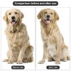 Pet Duo Side Stainless Steel Grooming Comb for Dogs & Cats Long Short Hair