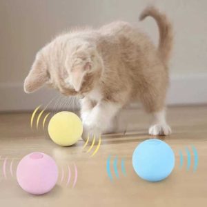 Interactive Cat Chirping Toy Ball with Cat Nip