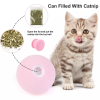 Interactive Cat Chirping Toy Ball with Cat Nip