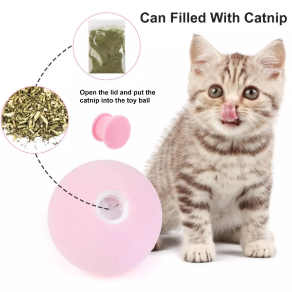 Interactive Cat Chirping Toy Ball with Cat Nip