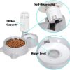 Automatic Pet Feeder and Water Dispenser, Pet Food and Water Feeder Bowls with Automatic Pet Water Bottle for Small Large Dog, Cats and Rabbits
