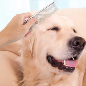 Pet Steel Combs with Rounded Teeth and Non-Slip Grip Handle for Removing Matted Fur for  Dogs & Cats