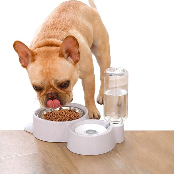 Automatic Pet Feeder and Water Dispenser, Pet Food and Water Feeder Bowls with Automatic Pet Water Bottle for Small Large Dog, Cats and Rabbits