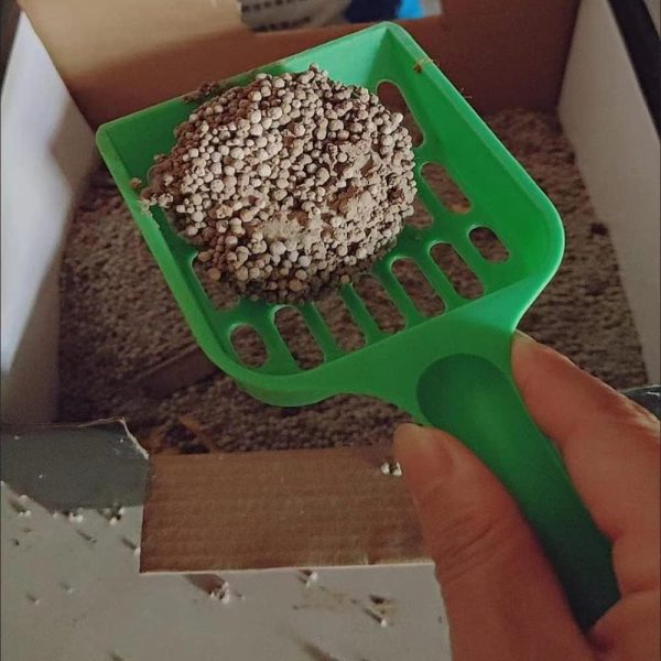 Pet Plastic Litter Scoop with Long Handle for Pets, Cats, Kittens
