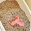 Pet Plastic Litter Scoop with Long Handle for Pets, Cats, Kittens