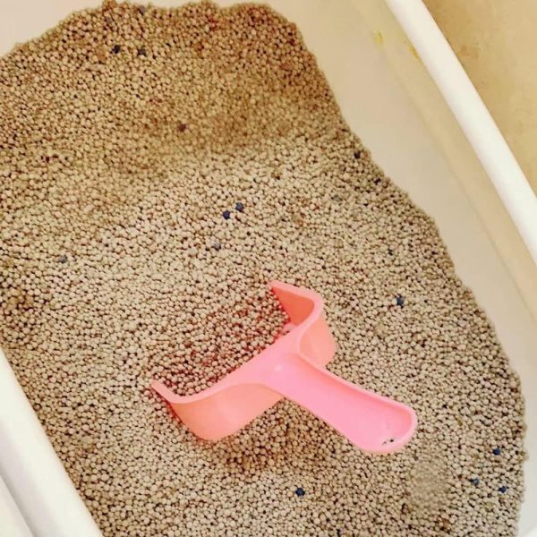 Pet Plastic Litter Scoop with Long Handle for Pets, Cats, Kittens
