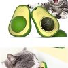 Avocado Cat Toy Snack Ball for Cat with Catnip