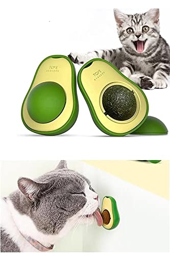 Version 1.0.0 Avocado Cat Toy Snack Ball for Cat with Catnip