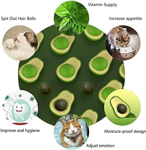 Version 1.0.0 Avocado Cat Toy Snack Ball for Cat with Catnip