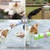 Outdoor Travel Portable Pet Water Bottle with Food Container